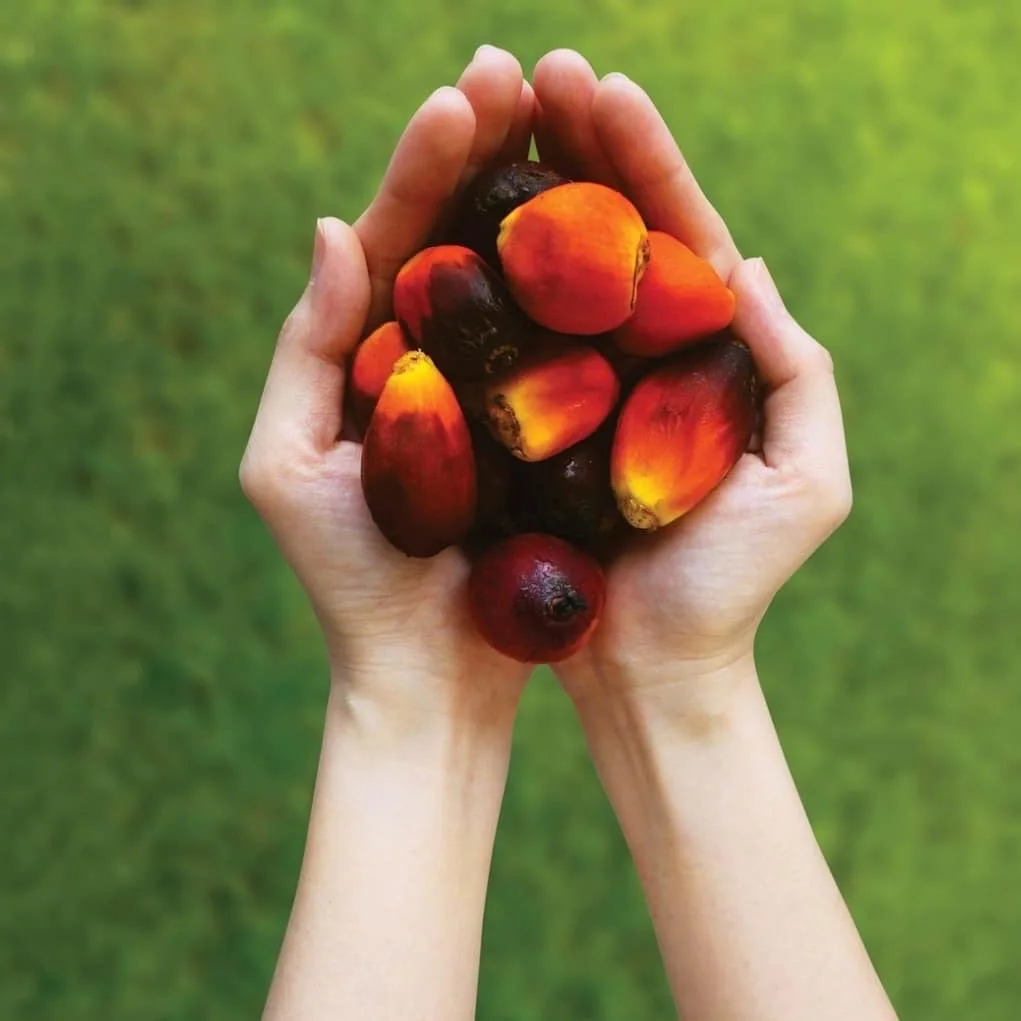 Пальмовое масло для