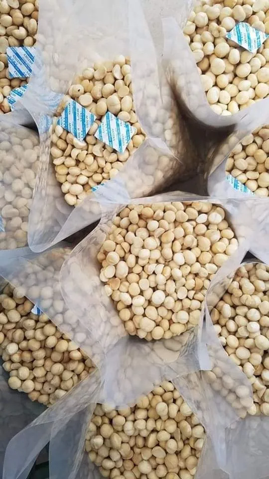 Гавайский орех/оптовая продажа вьетнамских орехов макадамии-SVEN + 84 966722357