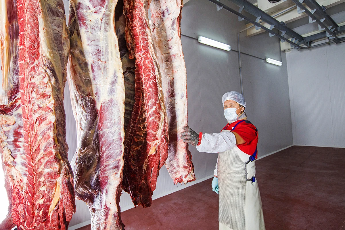 
Great taste Halal Beef Premium from Kazakhland 