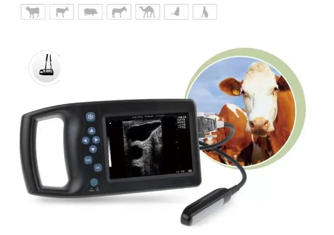 Veterinayy Ultrasound Handheld Sheep Dog Horse Pigs Cow Pregnancy Animals Portable Device Vet Ultrasound Machine Scanner