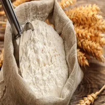 TI-Best Quality and Delicious Wheat Flour