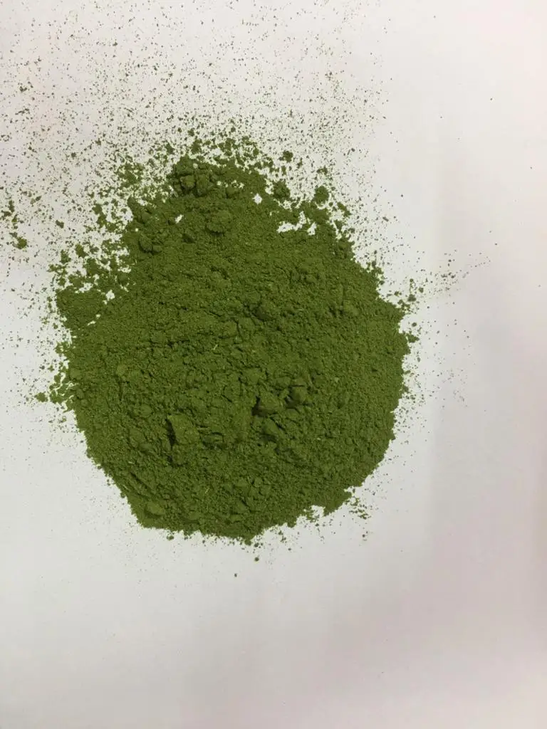 Moringa Leaves Powder for good health Factory Supply high quality drumstick leaves moringa powder