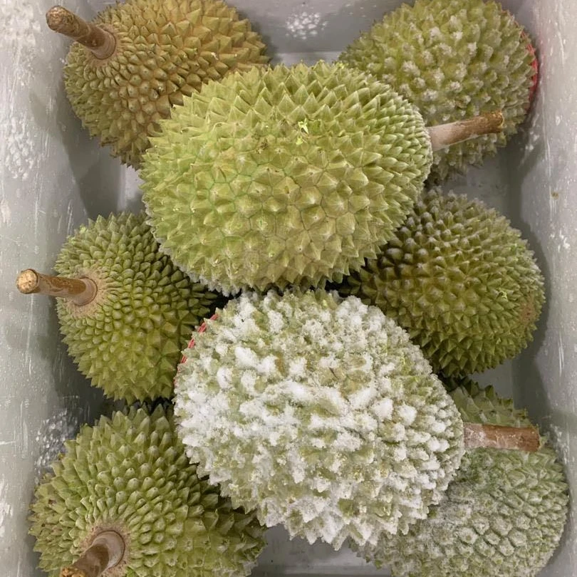 [MUSANG KING] TOP QUALITY GRAGE A EXPORT WHOLE FRUIT