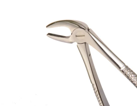 Premium Quality Extracting Forceps Fig 4 English Pattern Stainless Steel Non Slip Jaws
