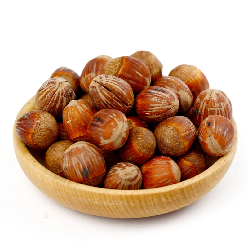 Suppliers Roasted Hazelnut Kernels Top Quality wild Hazelnuts