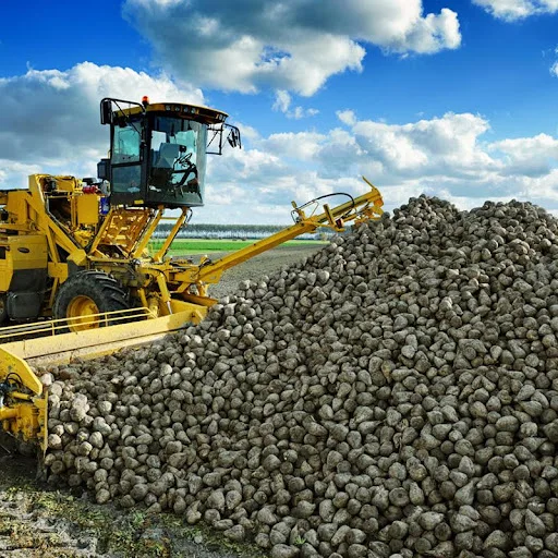 Top Grade Sugar Beet Pulp Pellets Bulk Quantity Low Price Sugar Beet Pulp Pellets Available