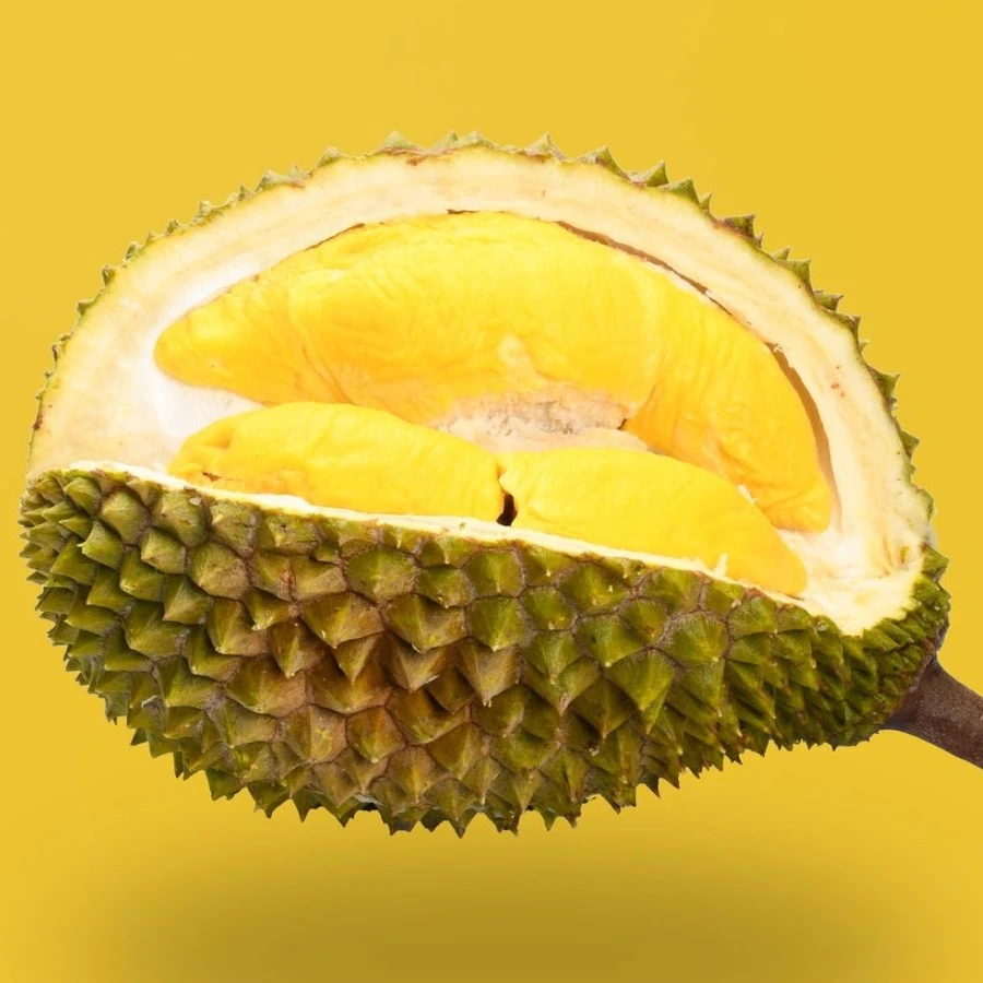 
Nutritious Durian in Vietnam with cheap price (Ms.Lavern : +84 382 567 668) 