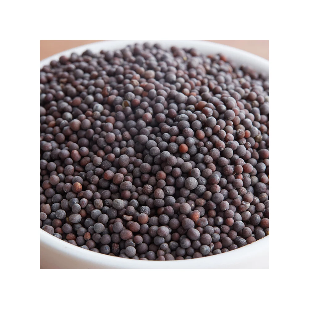 Popular Mustard Black with Custom Packing or Logo Print Buy at Wholesale Price