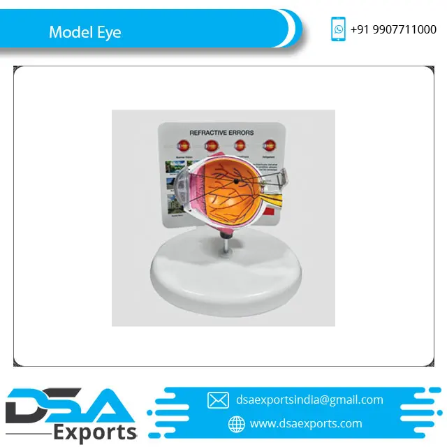  Анатомическая модель глаз (Smart Eye) по лучшей цене