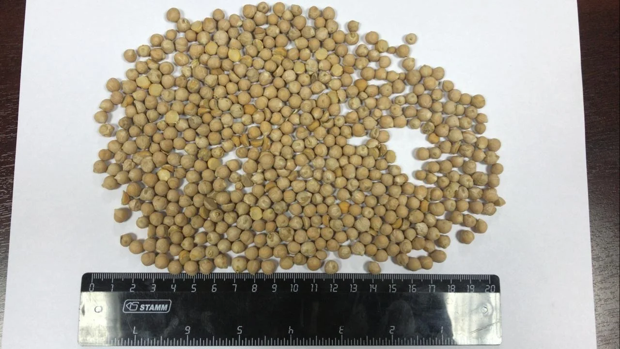 
Chickpeas caliber 5+ 