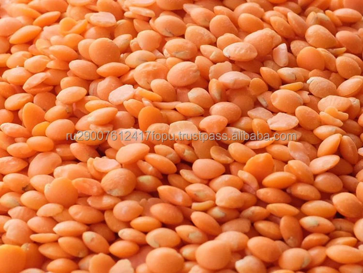 Organic Red Lentils very nutritious edible legume aromatic side dish, great for soups wholesale, lentils