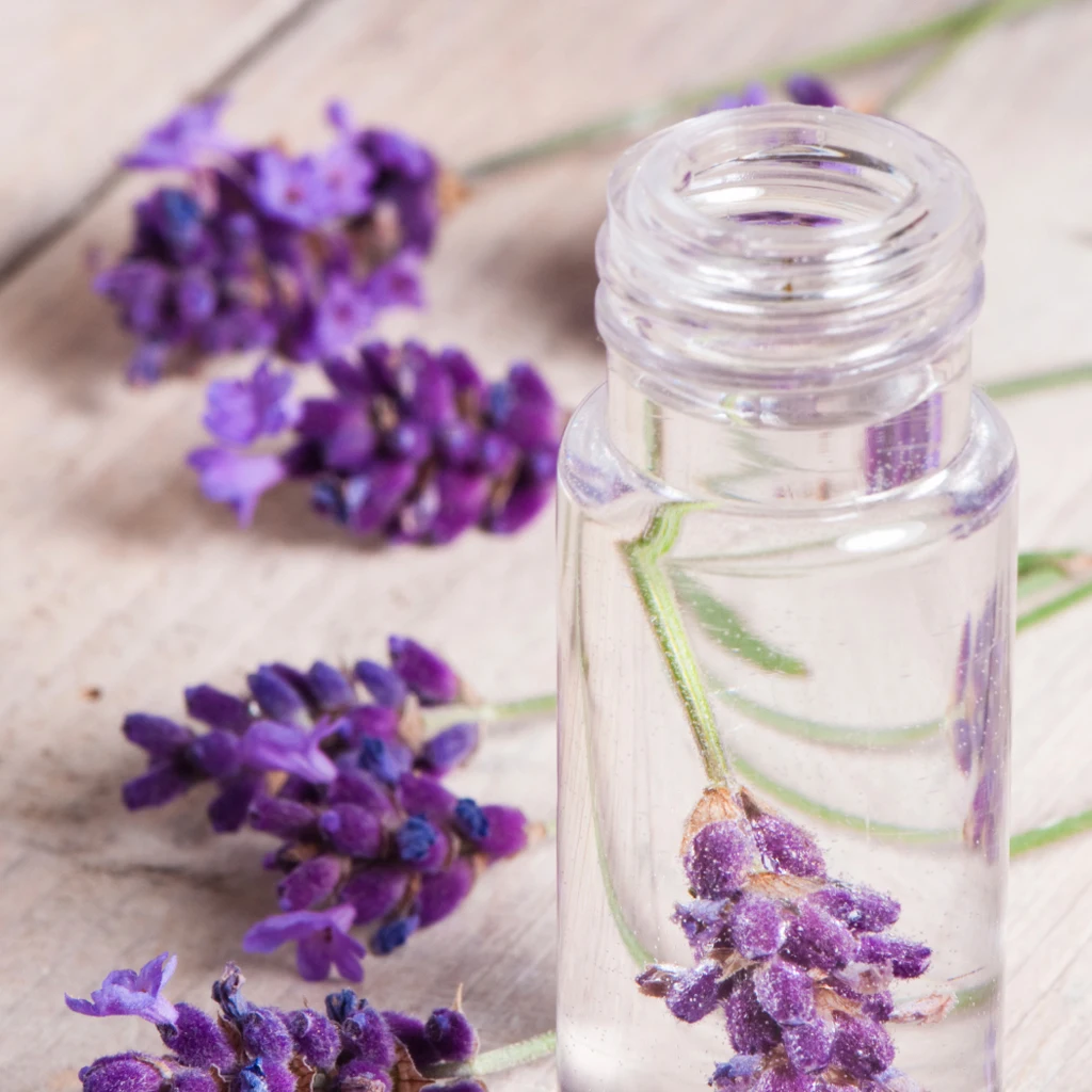 Skin Nourishing Private Label Flower Oil Fragrance Oils of Lavender Manufacturer for Lavender Organic Essential Oil