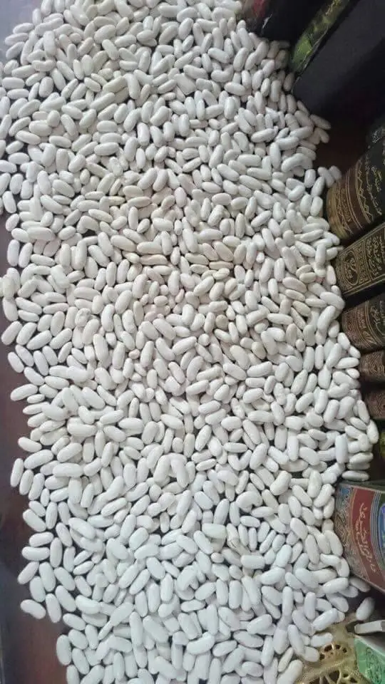 High quality Egyptian White Kidney Beans Wholesale