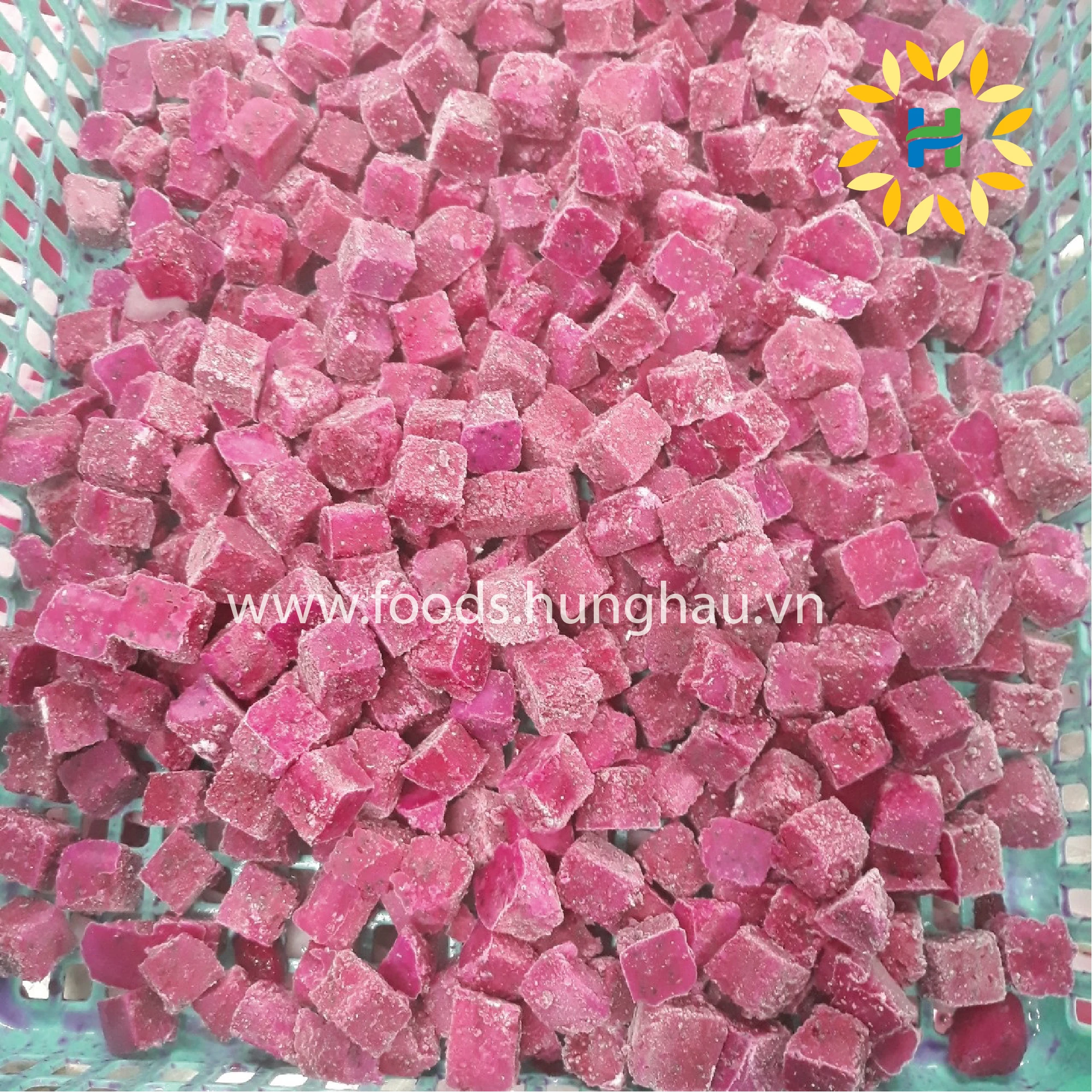 Hot Selling OEM Global Gap Certificate IQF Red Dragon Fruit Dice Water Preservation Process Frozen Pitaya Dices from Vietnam