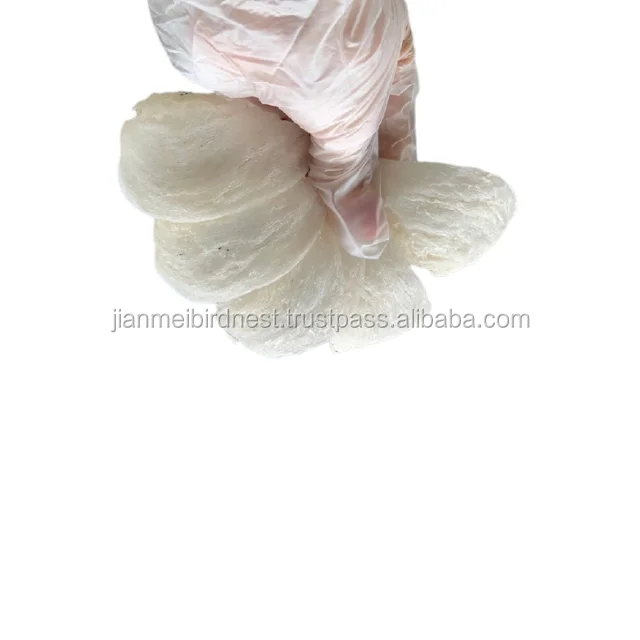 
new cheap Birds Nest Exclusive Birds Nest yan wo zhan 
