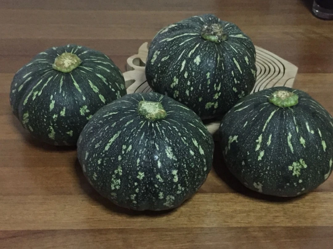 
Manufacturers Provide Hot Sale Vietnam Fresh Pumpkins at Competitive Price 