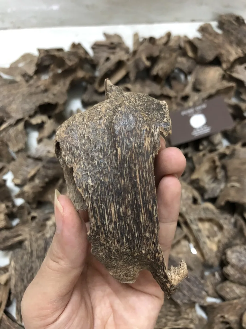 Top Quality Incense Burner Full Oil Natural Wild Incense Oud Vietnam for daily use