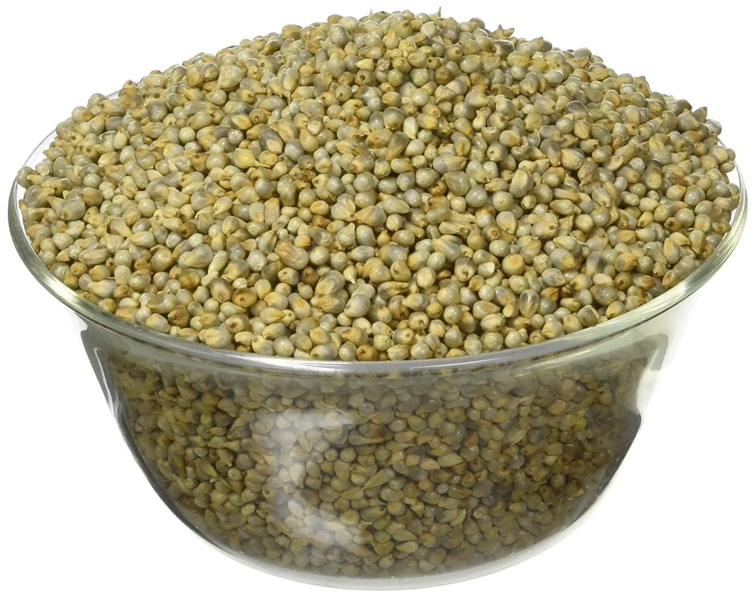 
BAJARA SEEDS EXPORTER 