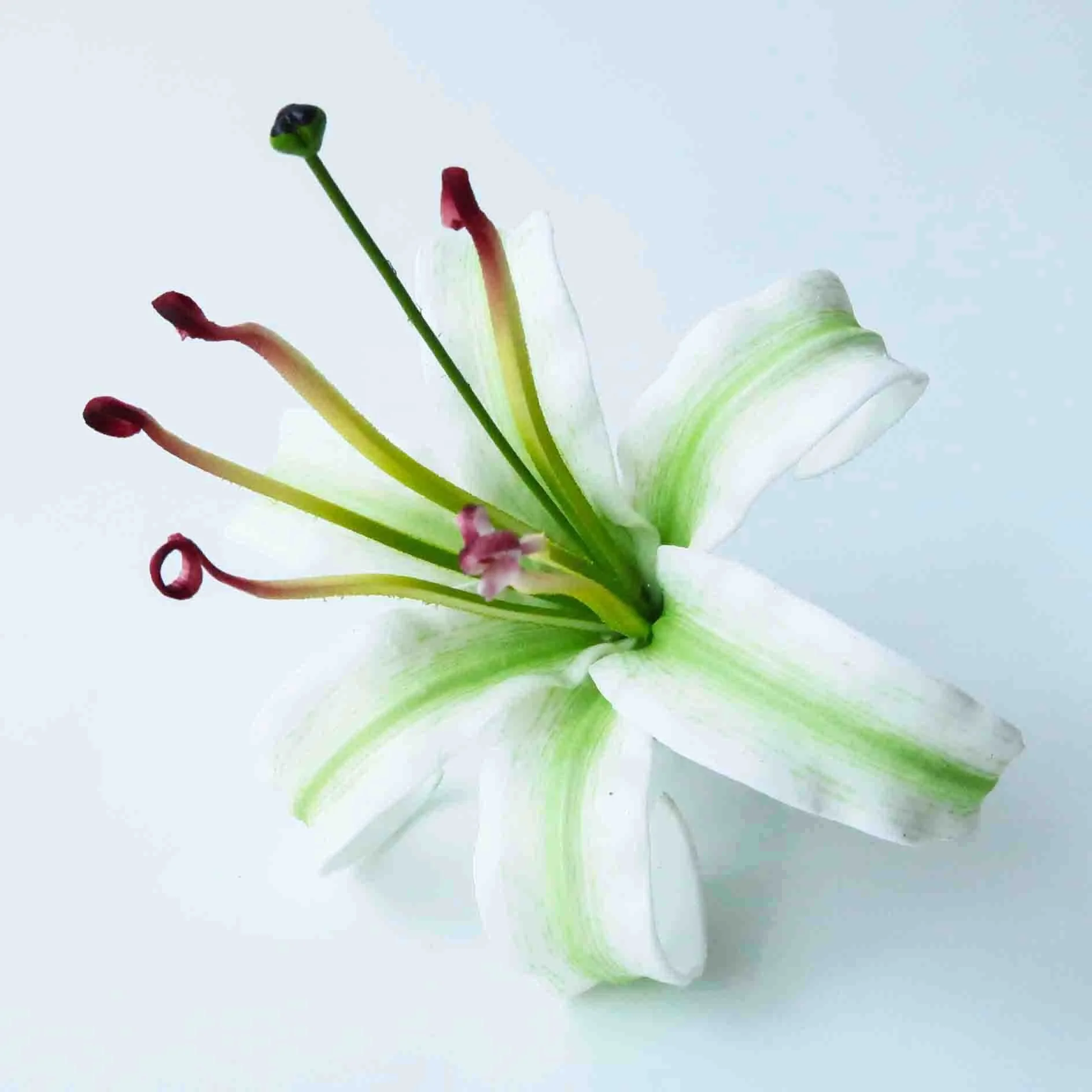 Hot seller Product from Thailand Spider Lily Foam Flower with unique brush print pattern Fashion Accessories