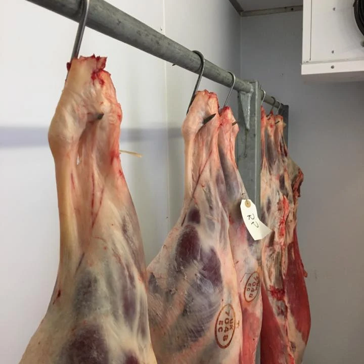 Оптовая продажа Халяль свежее замороженное козье/баранина/мясо