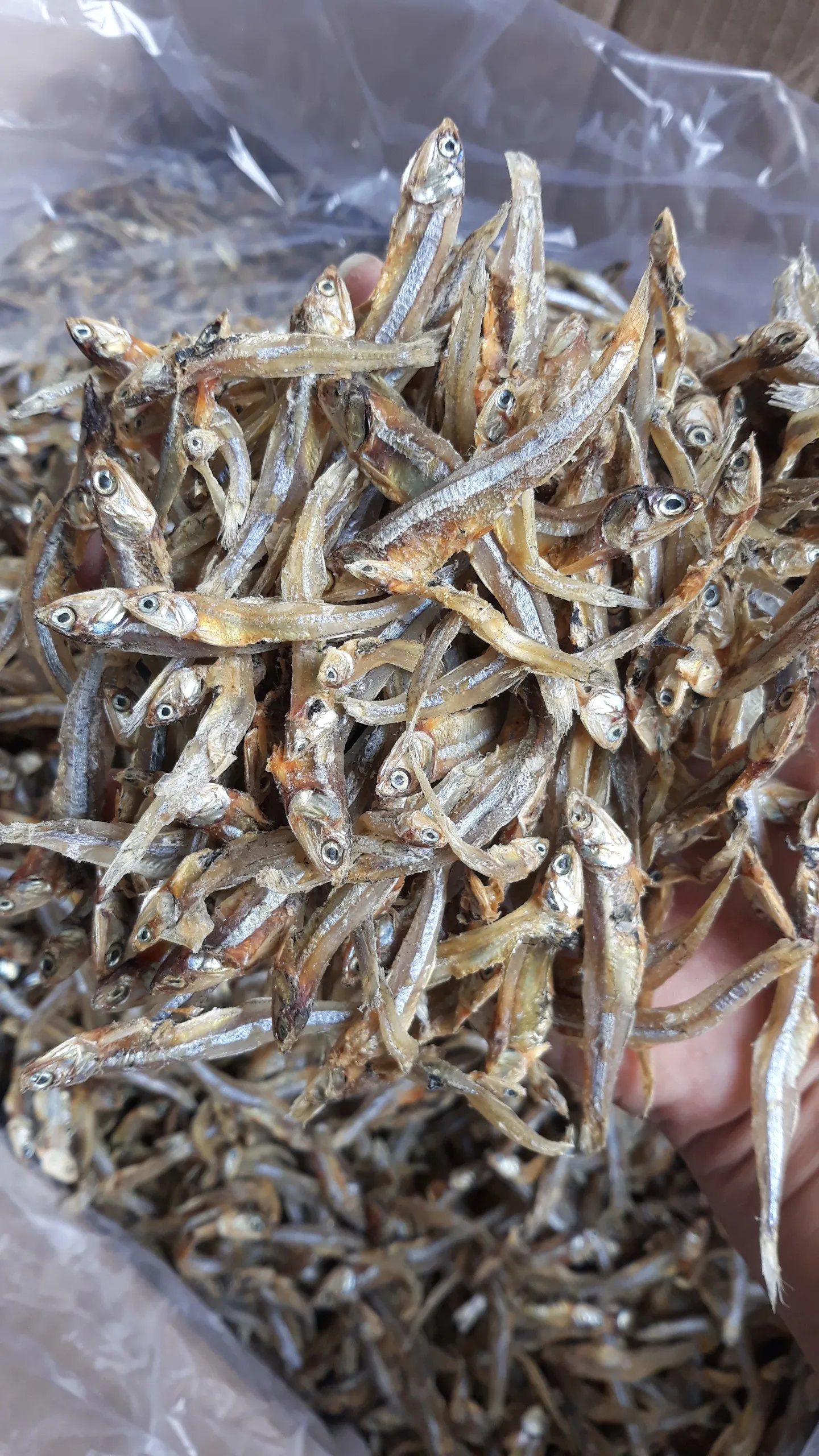 Dried Anchovy Fish best price from Vietnam - Qualified with NAFI certificate