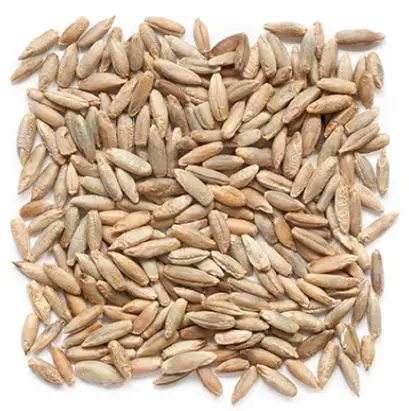 
Premium quality Rye grains for sale 