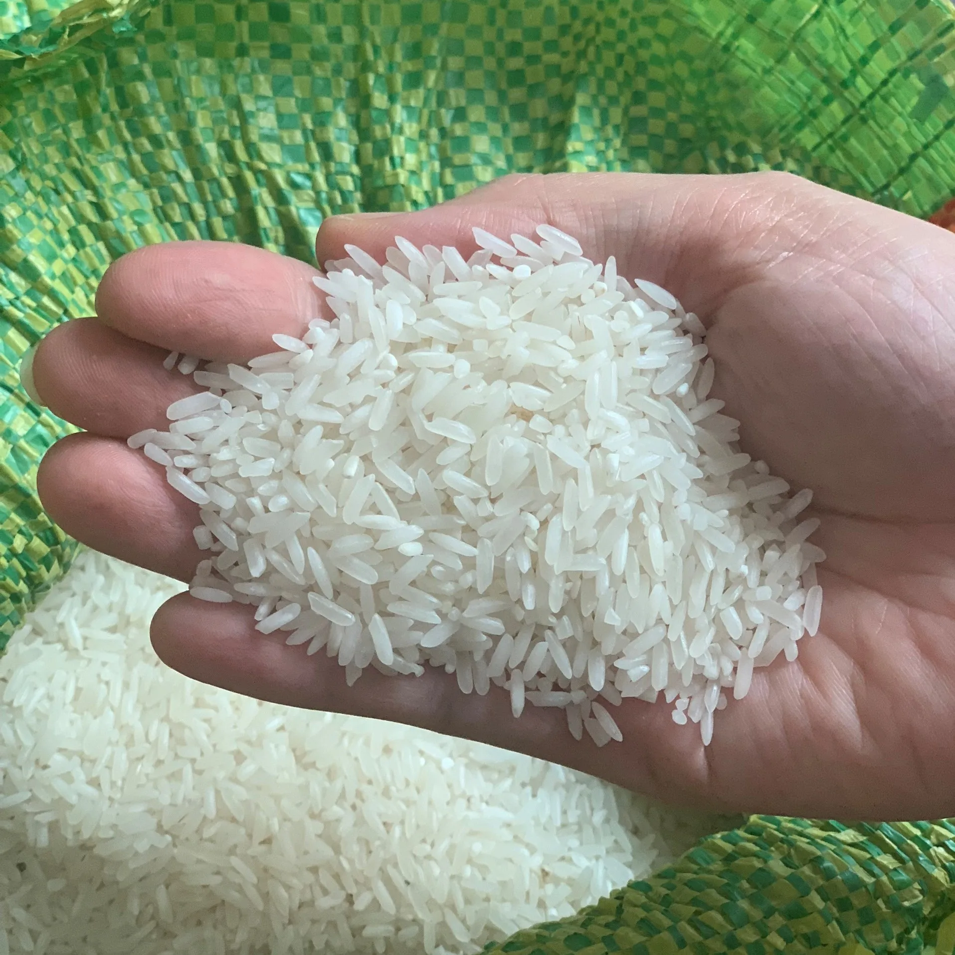 High Quality rice OM5451 Vietnamese Rice