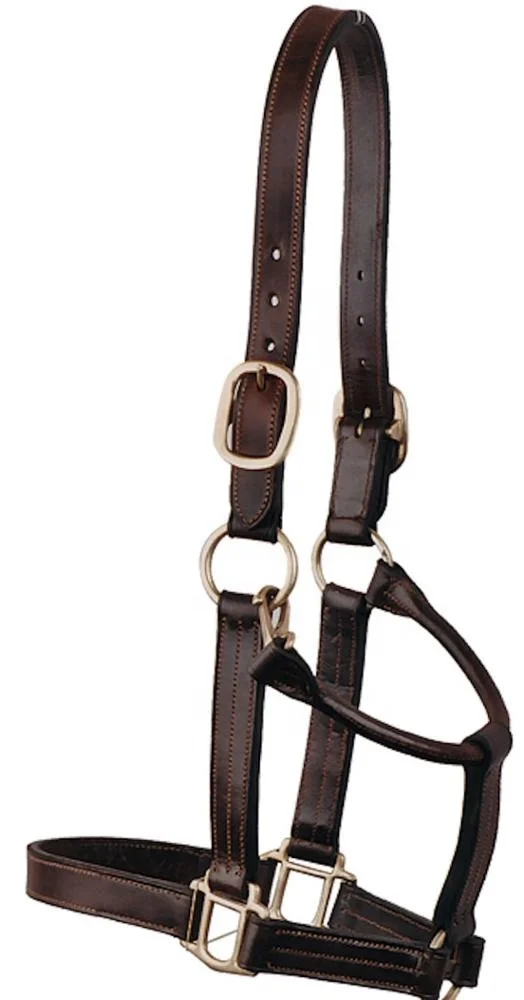 leather halter