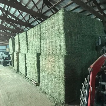 2022 Alfalfa Hay / Timothy Alfafa Hay / Rhode Hay