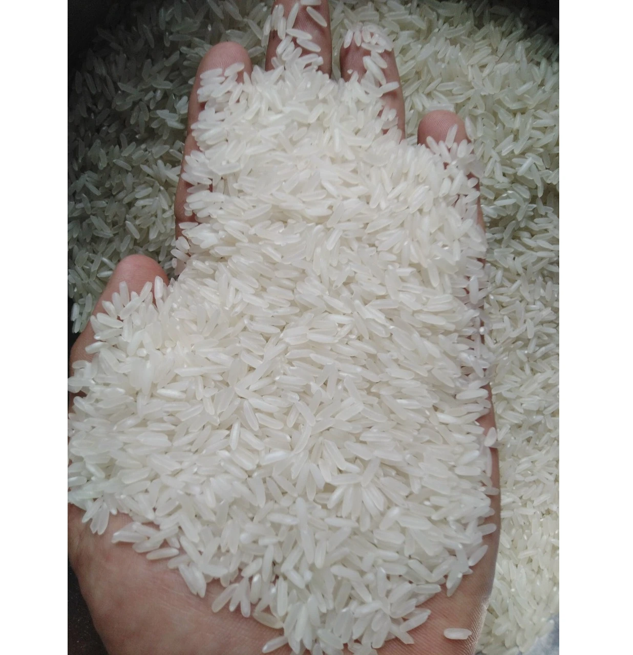 TOP RATED Made in Viet Nam Best Quality Viet Nam Jasmine Rice 5% Broken with Soft Texture and Perfume Sweet Kind 100% Natural