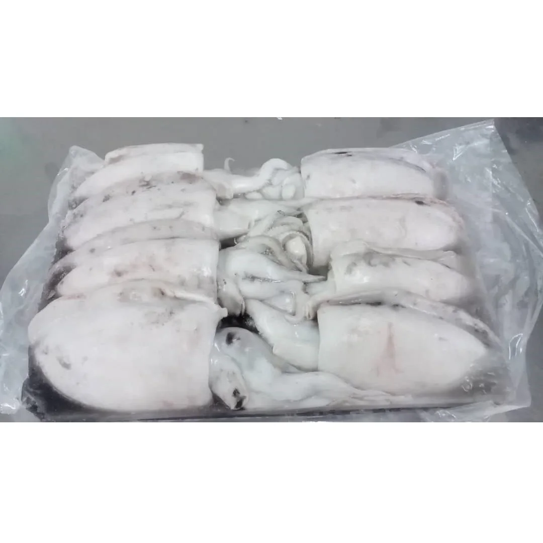 Malaysia Good Quality Frozen Whole Round Fresh Cuttlefish With Block Freezing No Soaking