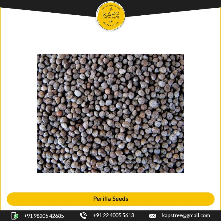 Minimal Price Exceptional Quality Dried Perilla Seeds for Sale