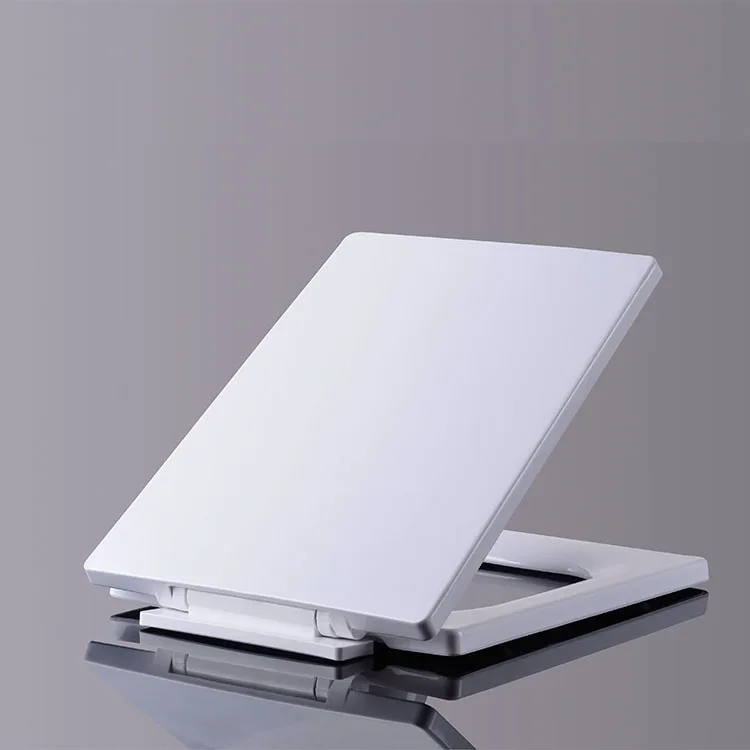 wc Toilets Sanitary Ware Sanitary Equipment Toilet Seat Cover For wc