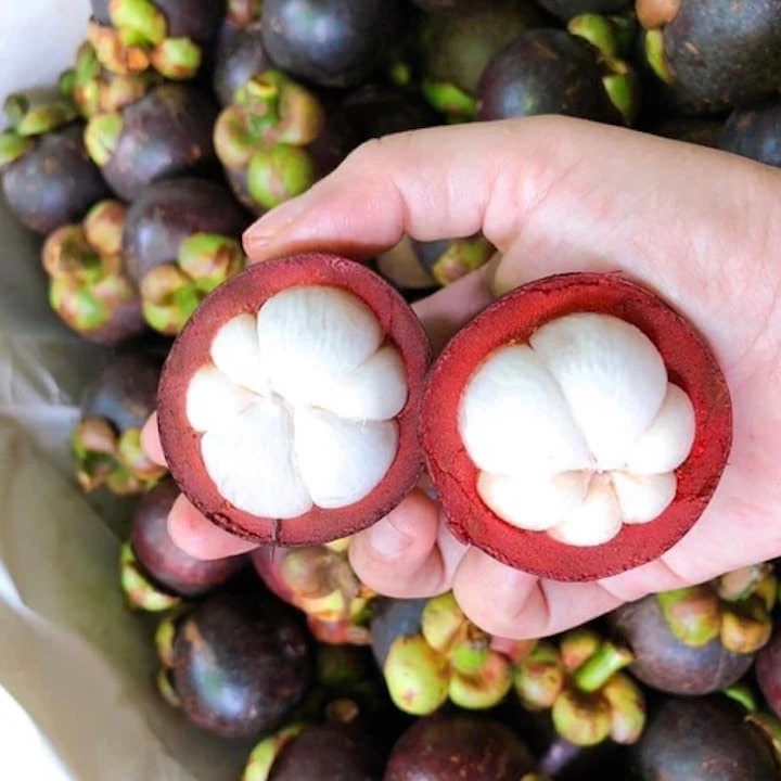 Свежий натуральный мангостин из Вьетнама MR. THOMAS + 84961478592