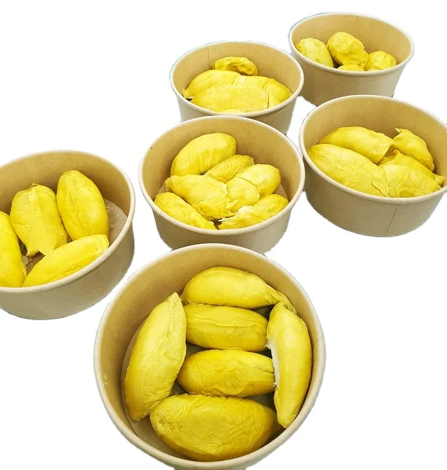 Fresh Musang King Durian Fruit Grade A High Quality from Malaysia Top Durian Supplier
