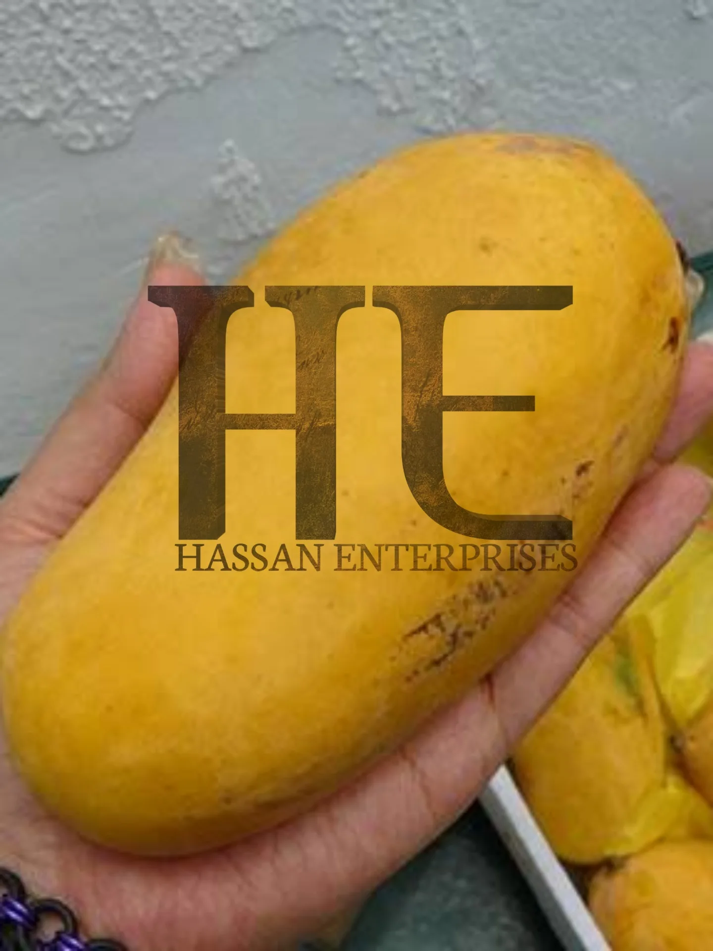 Sindhri Mango Specially In Pakistan Export