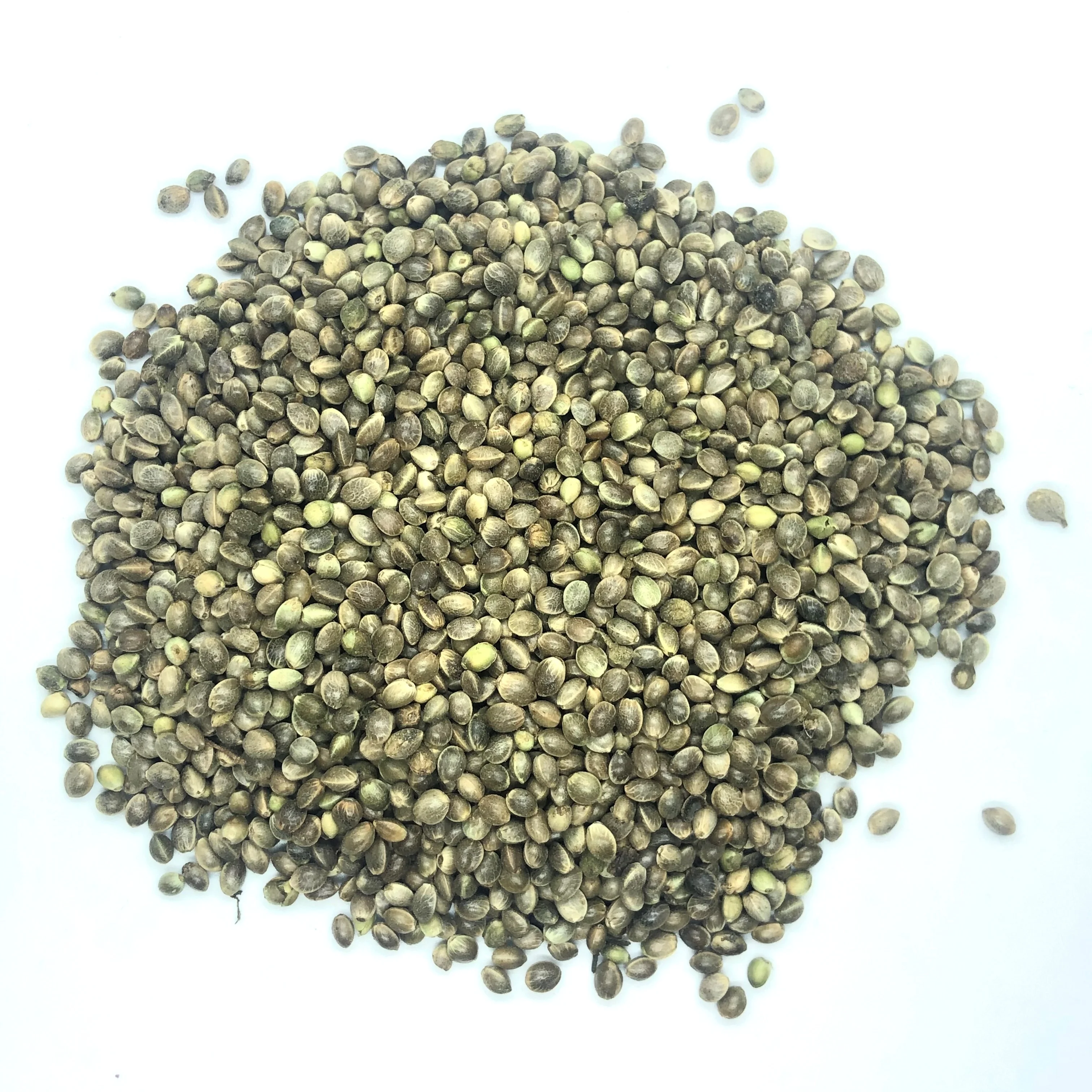 Certified Hemp Seeds