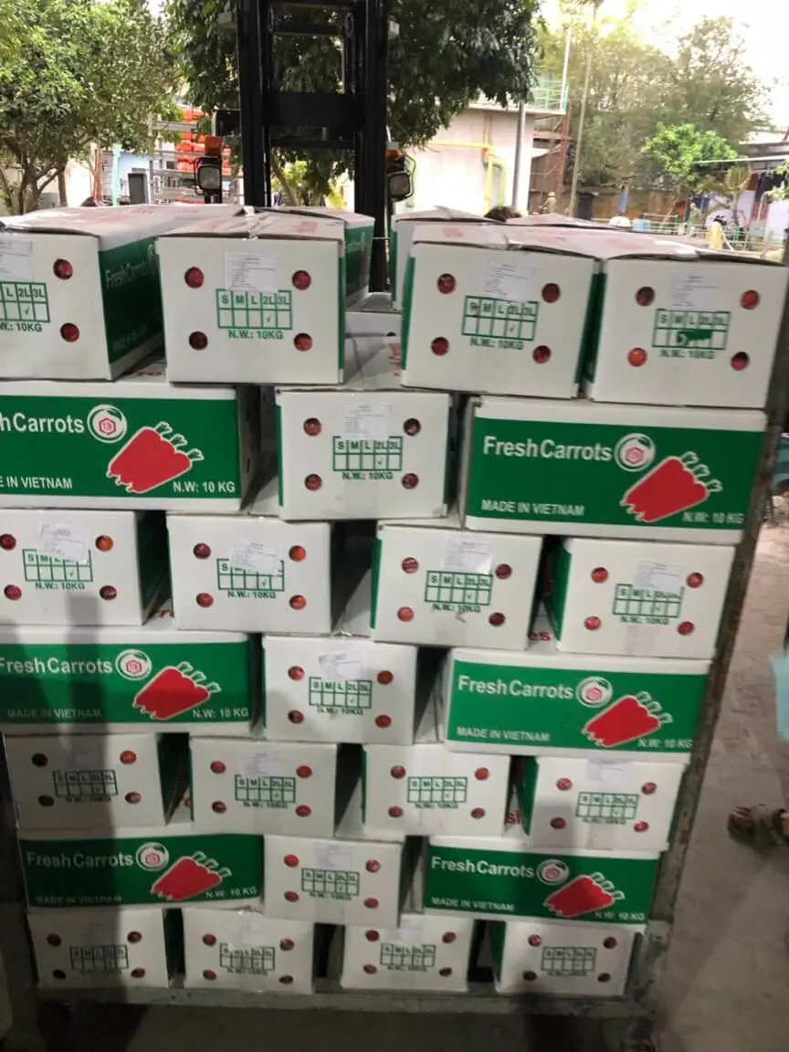 Fresh Carrots -  Customized Package Non-GMO Fresh Carrots Whatsapp +84988667319