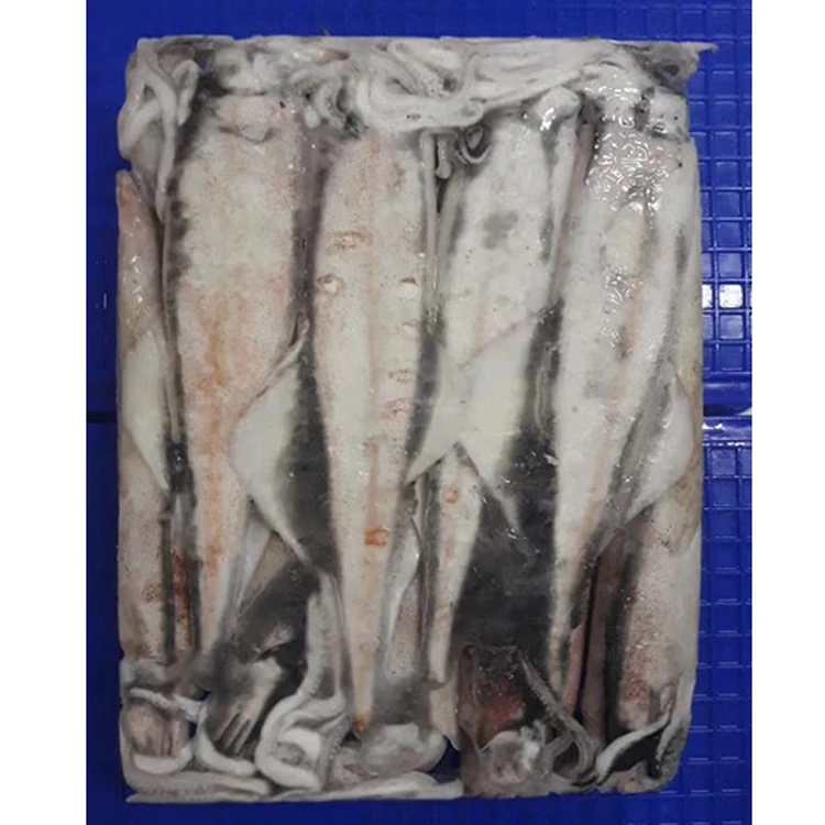 Loligo Squid HACCP Certified Frozen Seafood Supplier