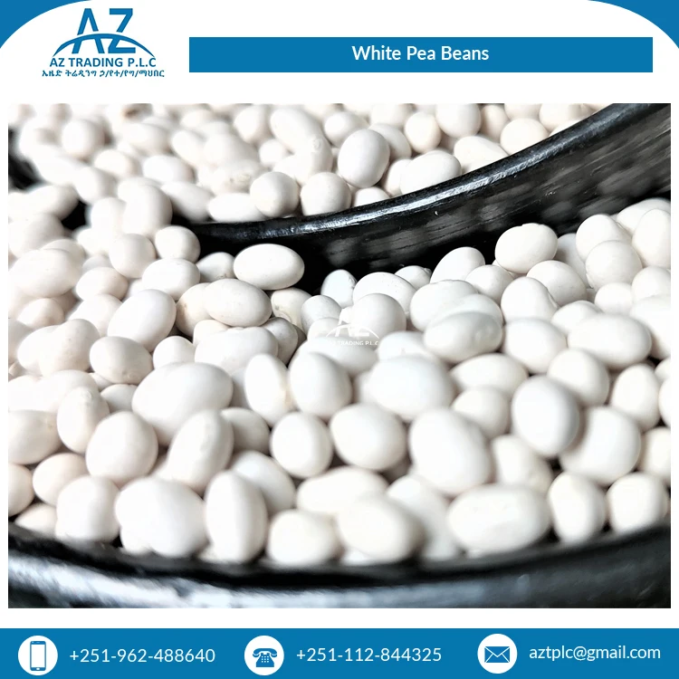 Bulk Supplier of Premium Grade Uniform Bright White Organic White Pea Beans/ Ethiopian Kidney Beans