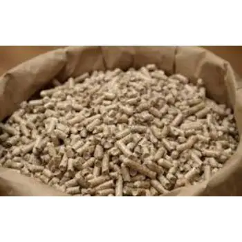 images (35).jfif.jpg