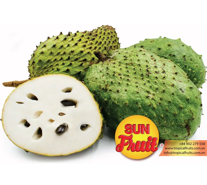 Fresh Soursop Fruit Wholesale
