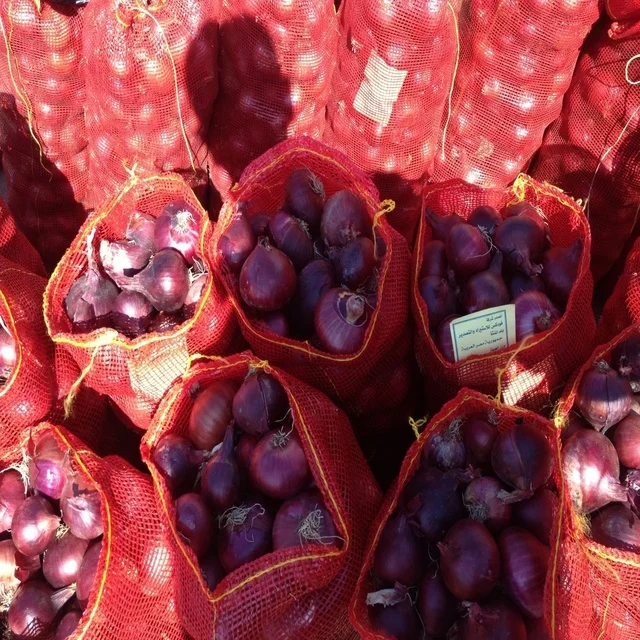 Cheap fresh red onion/yellow onion/white onion - Top Graded