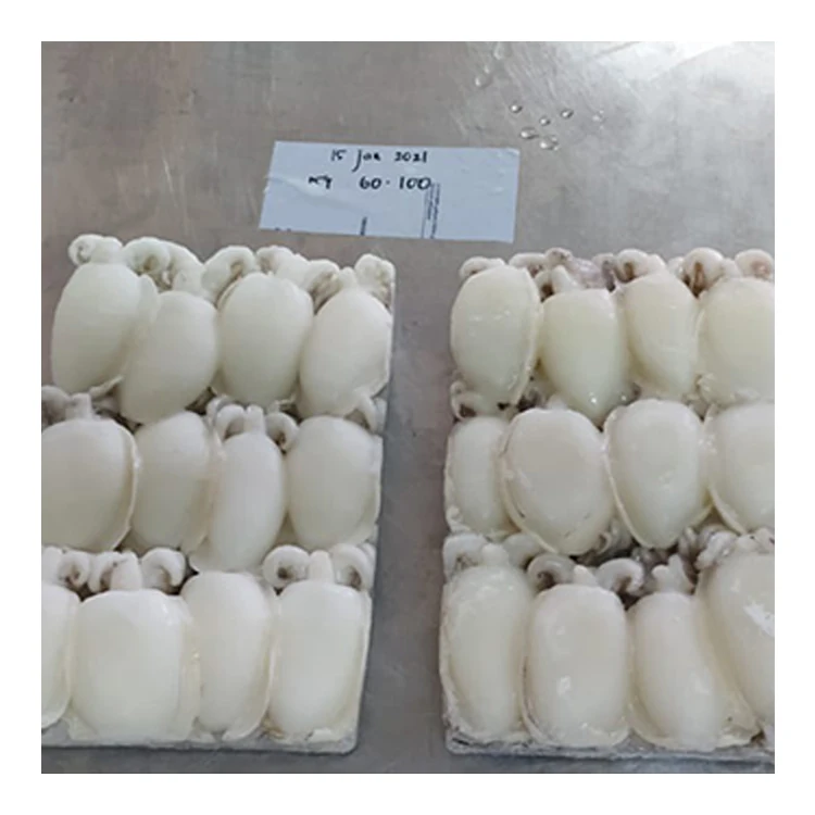Clean HACCP Certified Seafood Supplier Cuttlefish