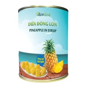 Вьетнамский поставщик консервированных фруктов Longan в сиропе консервированные Longans 565 г по заводской