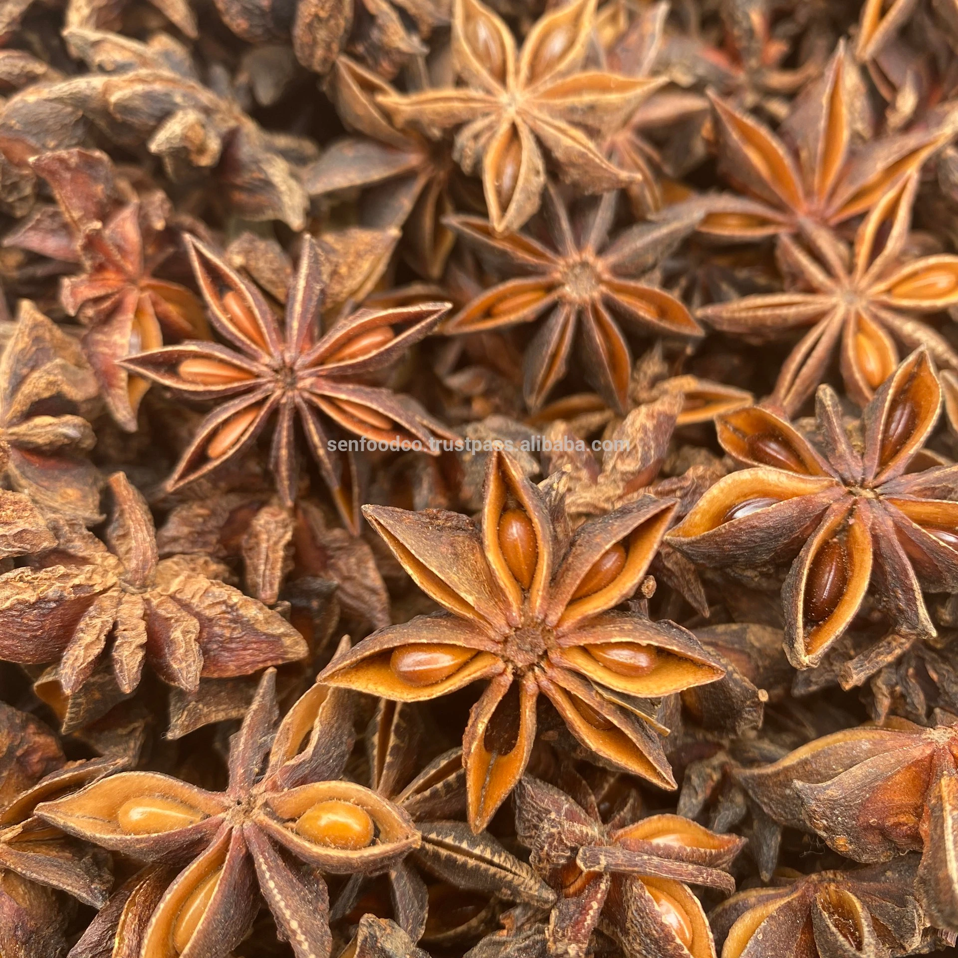 Spices - AUTUMN STAR ANISE FROM VIETNAM Good price New crop