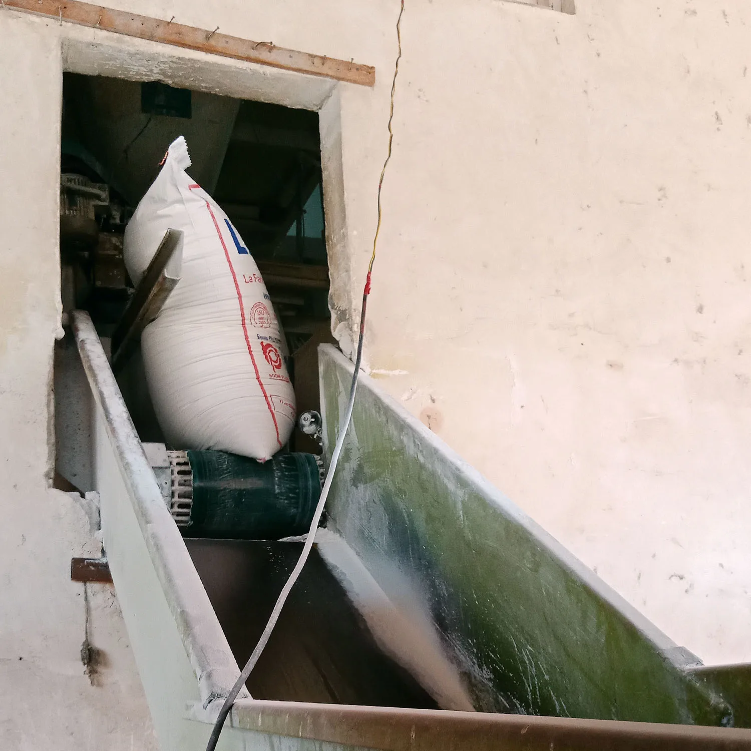 Bread Wheat Flour 50 kg t55 Leena Brand Flour Egyptian Product Maida Flour 72% Extract