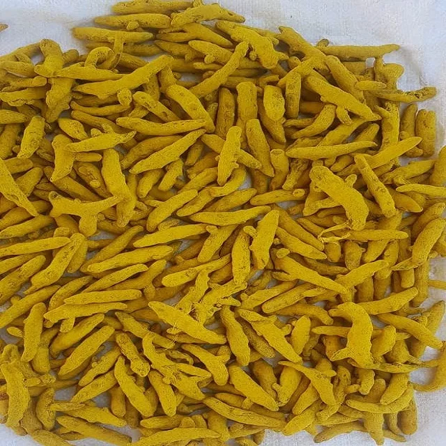 Wholesale spices processor supplier and exporter Pure Indian turmeric finger and powder