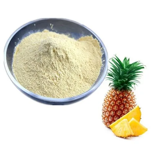 PINEAPPLE POWDER/BROMELAIN POWDER HOT SELLING WITH GOOD PRICE FROM VIET NAM