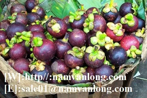  Новое поступление экстракта натурального мангостина/свежий мангостин в полиэтиленовом пакете/вьетнамский